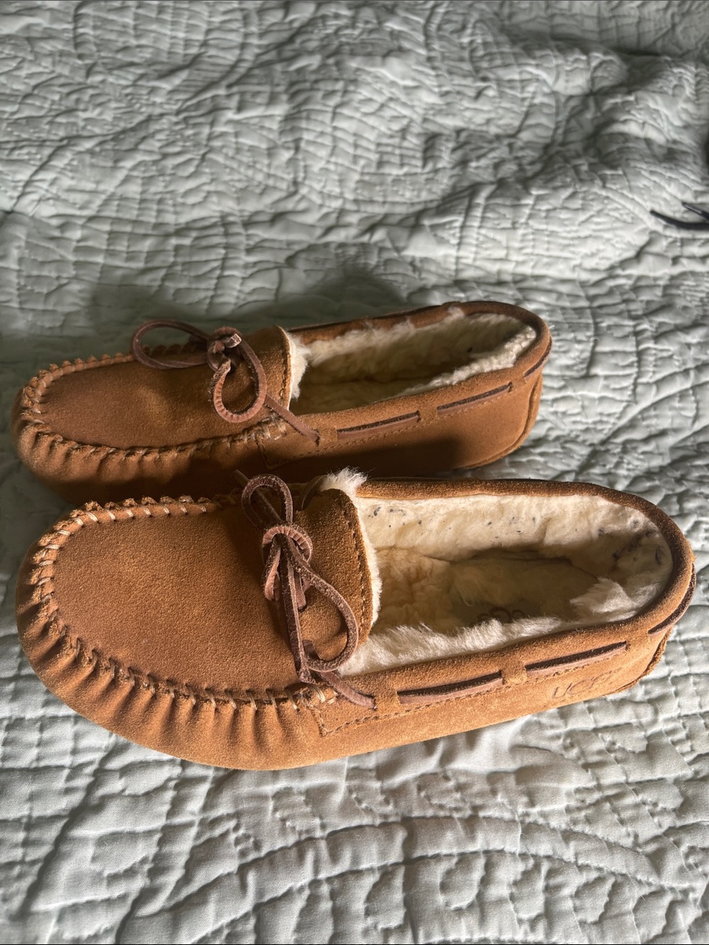Chestnut Suede UGG slippers